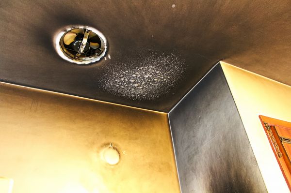Cost of Smoke Damage Removal in Gainesville